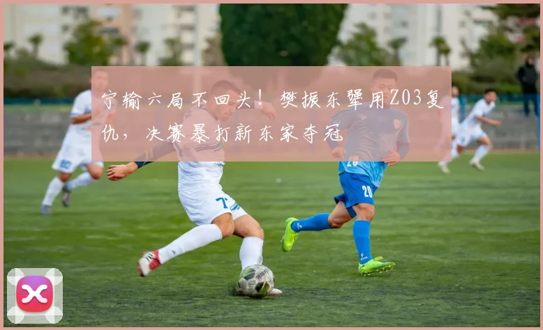 宁输六局不回头！樊振东犟用Z03复仇，决赛暴打新东家夺冠