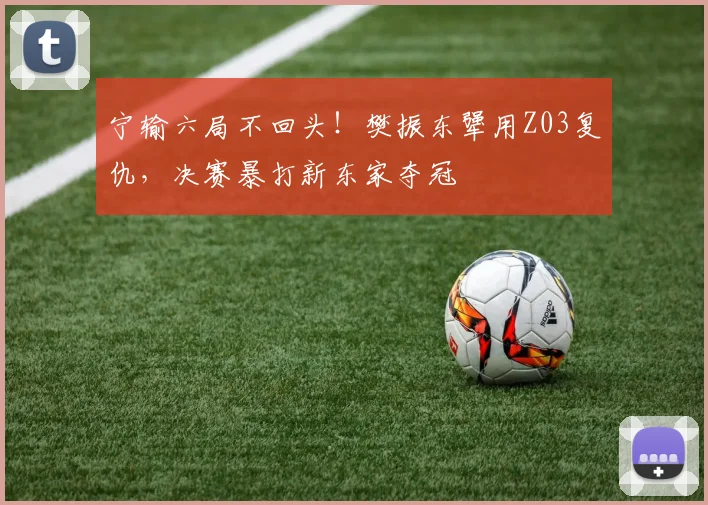 宁输六局不回头！樊振东犟用Z03复仇，决赛暴打新东家夺冠