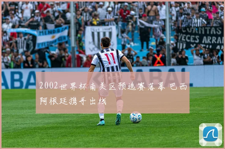 2002世界杯南美区预选赛落幕 巴西阿根廷携手出线