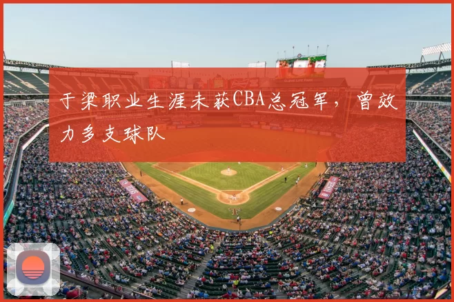 于梁职业生涯未获CBA总冠军，曾效力多支球队