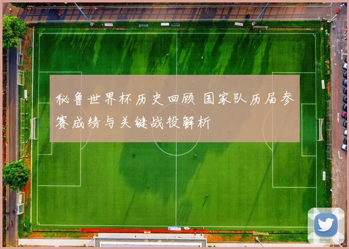 秘鲁世界杯历史回顾 国家队历届参赛成绩与关键战役解析